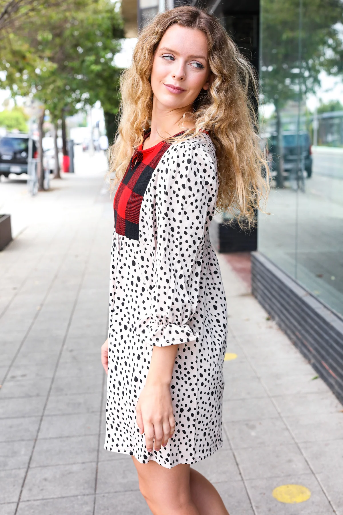 Taupe Animal & Plaid Holiday Dress - Image 5